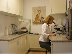Tierärztliche Laboruntersuchungen in München Nord Freimann